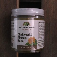 Chickweed & Plantain Salve – 4oz