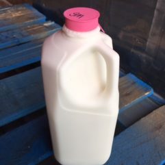 Goat Milk – Fresh – Plastic