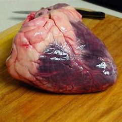 Whole Beef Heart – (2-3 lbs) per lb