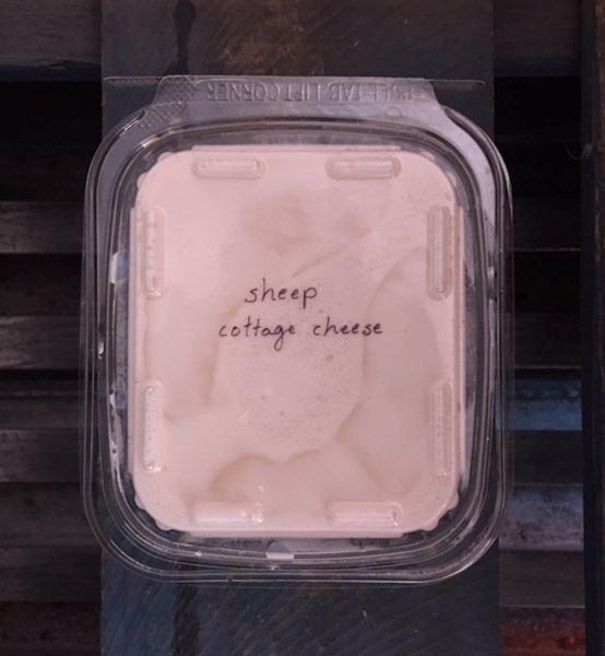 Sheep A2/A2 Cottage Cheese NO SALT PINT Pastured Farm Food Club