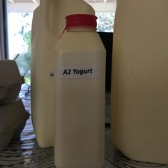 Cow Yogurt – A2/A2  – Plastic