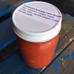 Fermented Ketchup