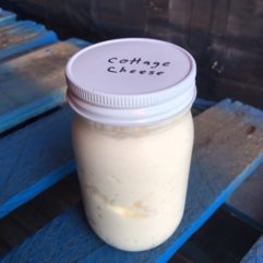 Cottage Cheese-A2/A2-Glass-No Salt-PINT