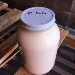 Kefir – A2/A2 – STRONG – Glass