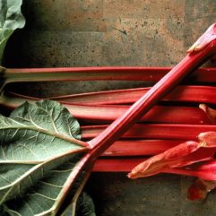 Rhubarb – fresh – per lb