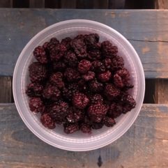 Frozen Black Raspberries – PINT