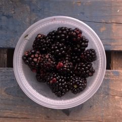 Fresh Blackberries – PINT