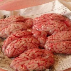 Beef Brain – per lb