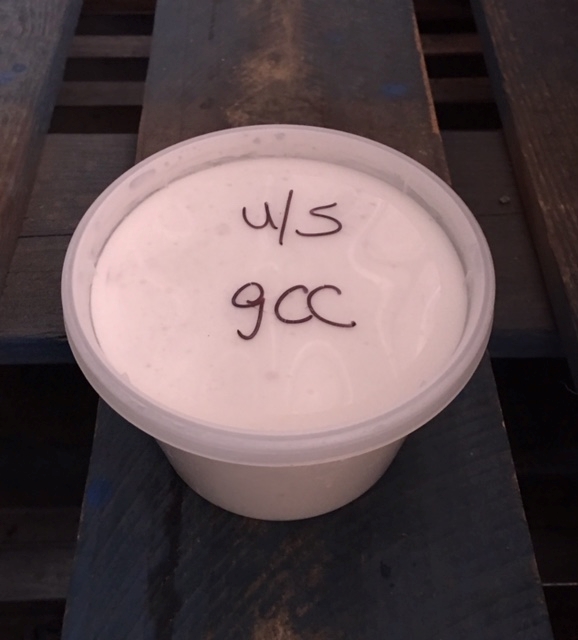 Goat Cottage Cheese A2/A2 NO SALT PINT Pastured Farm Food Club