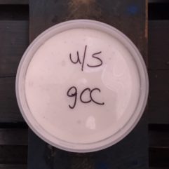 Goat Cottage Cheese –  A2/A2 – NO SALT – PINT