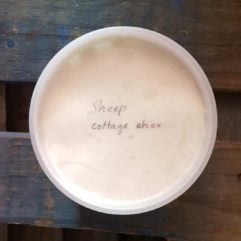 Raw Sheep Cottage Cheese – PINT