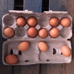 Soy-Free Pullet Eggs – per dz