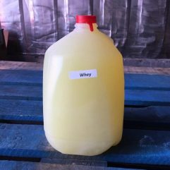 Fresh liquid WHEY – GALLON