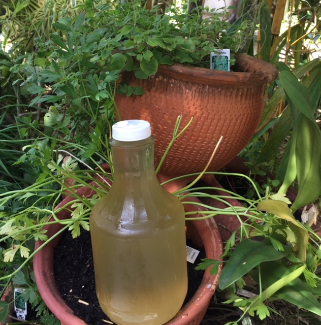 Apple Cider Vinegar – Glass – QUART