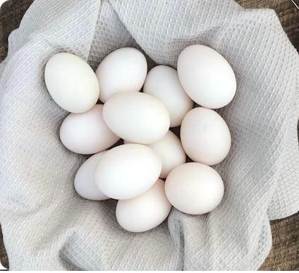 Duck Eggs – Soy & Corn-free – per dz