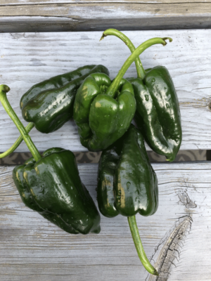 Hot Peppers - per lb